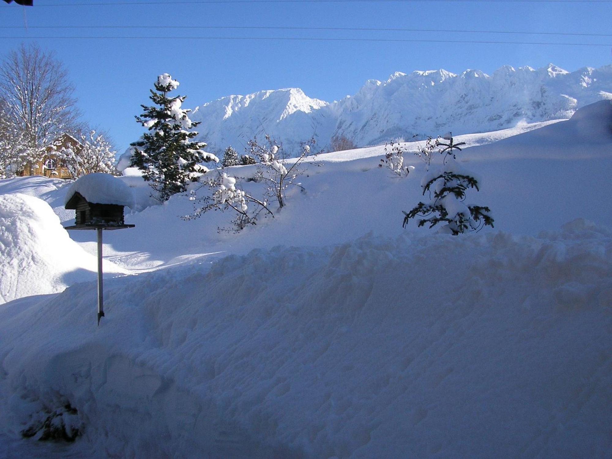 Appartementhaus Theresia Bad Mitterndorf Exteriör bild